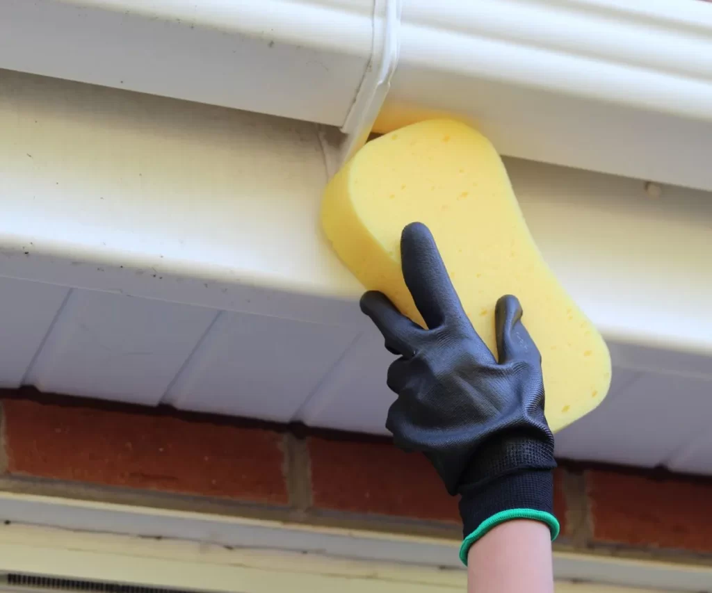 Fascia & Soffit Cleaning