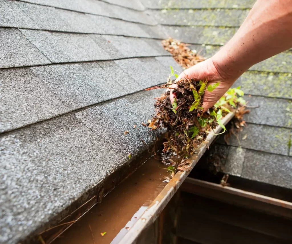Cleaning Gutter
