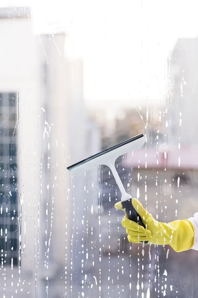 Window Cleaning