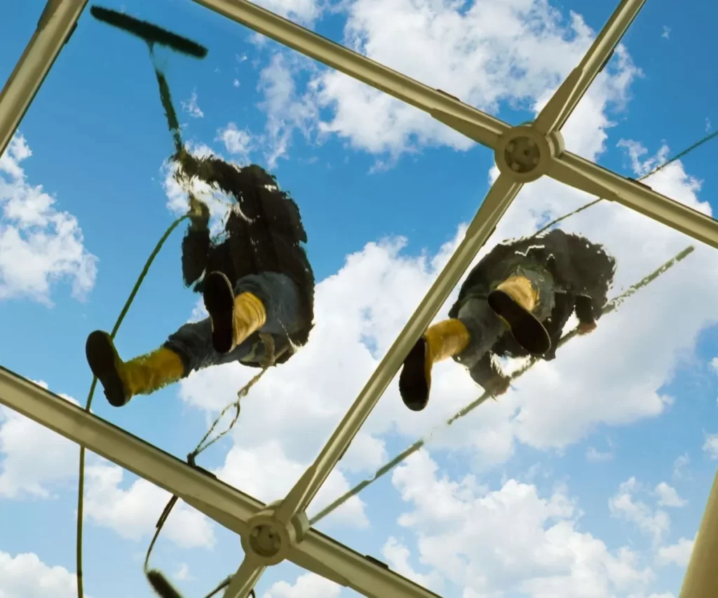 Roof Cleaning