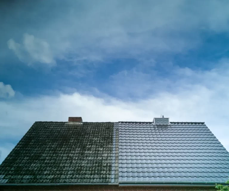 Roof Cleaning