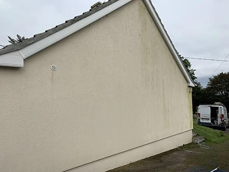 Soft Washing the Wall